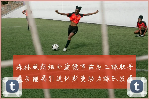 森林狼新组合爱德华兹与三球联手是否能再引进怀斯曼助力球队发展